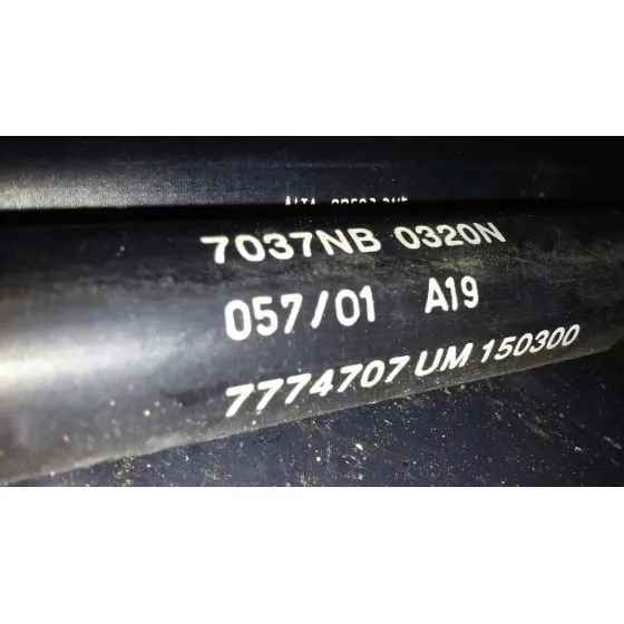 Amortiguadores Maletero / Porton para Fiat Bravo (182)