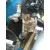 Caja Cambios para Toyota Rav 4 (A2)