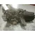 Caja Cambios para Volkswagen Passat Berlina (3B2)