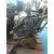 Motor Completo para Seat Ibiza (6L1)
