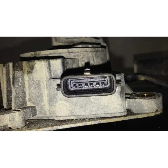 Potenciometro Pedal para Nissan Qashqai (J10)