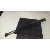 Amortiguadores Maletero / Porton para Daewoo Lacetti