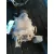 Diferencial Trasero para Bmw Serie 3 Berlina (E46)