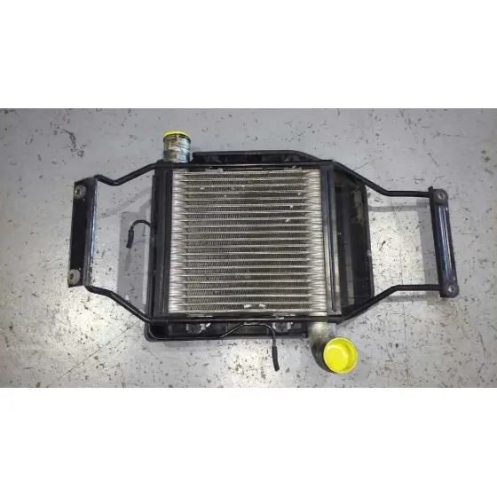 Intercooler para Kia Carens