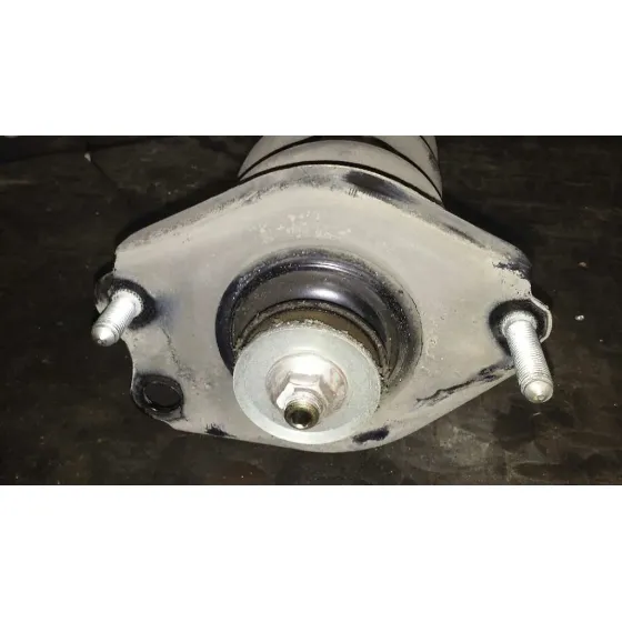 Amortiguador Trasero Derecho para Toyota Corolla Verso (R1)