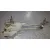 Motor Limpia Delantero para Ford Fiesta (Ccn)
