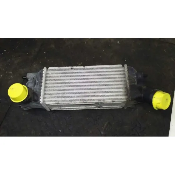 Intercooler para Citroën C5 Berlina
