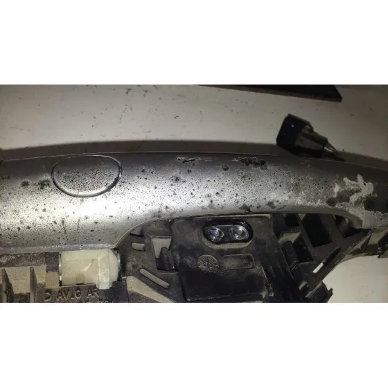 Maneta Exterior Trasera Izquierda para Renault Grand Scenic