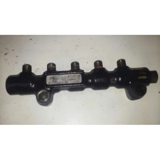Rampa Inyectora para Ford Focus C-Max (Cap)
