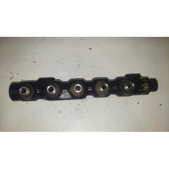 Rampa Inyectora para Ford Focus C-Max (Cap)