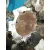 Caja Cambios para Seat Ibiza (6L1)