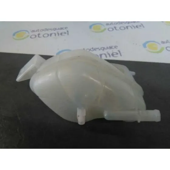 Deposito Expansion para Nissan Qashqai (J11)