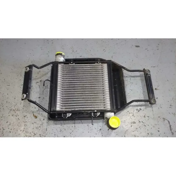 Intercooler para Kia Carens