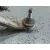 Brazo Suspension Superior Trasero Izquierdo para Hyundai Santa Fe (Bm)