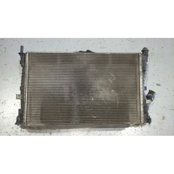 Radiador Agua para Ford Fusion (Cbk)