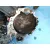 Caja Cambios para Seat Ibiza (6L1)