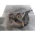 Mangueta Delantera Derecha para Toyota Yaris