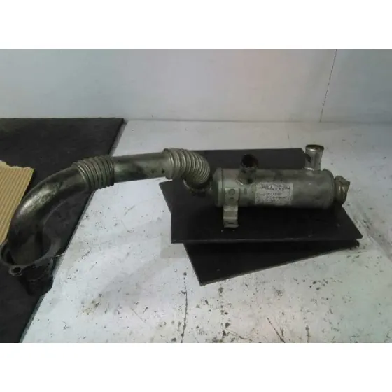 Enfriador Egr para Peugeot 206+