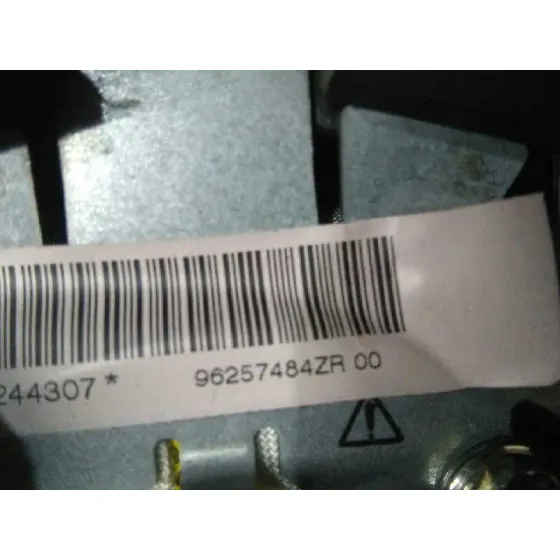 Airbag Delantero Izquierdo para Peugeot 206 Berlina