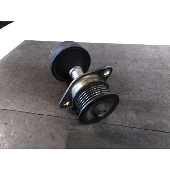 Polea Alternador para Ford Focus Berlina (Cak)