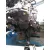 Motor Completo para Alfa Romeo 147 (190)