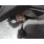 Motor Limpia Trasero para Renault Clio Iii