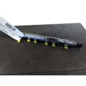 Rampa Inyectora para Bmw Serie 3 Berlina (E90)