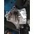 Caja Cambios para Kia Picanto