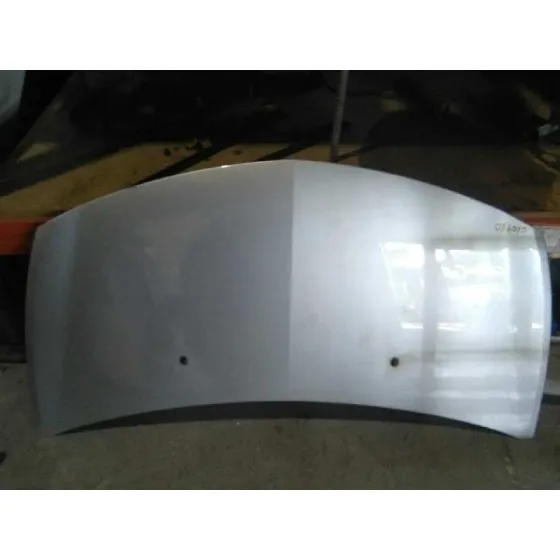 Capot para Renault Clio Iii