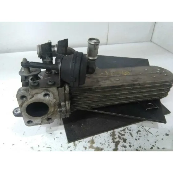 Enfriador Egr para Volkswagen Passat Berlina (3C2)