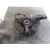 Mangueta Delantera Derecha para Peugeot 807