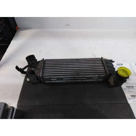 Intercooler para Peugeot 807