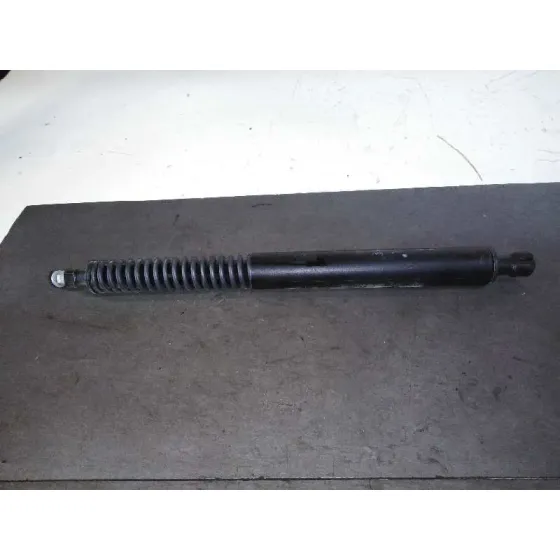 Amortiguadores Maletero / Porton para Peugeot 307 Cc (S2)