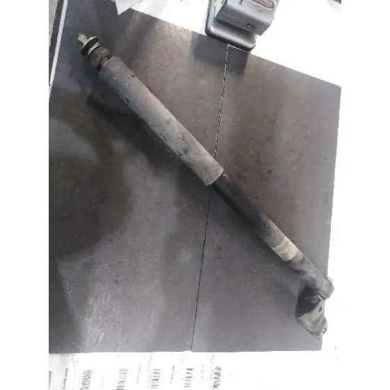 Amortiguador Trasero Derecho para Toyota Rav 4 (A2)
