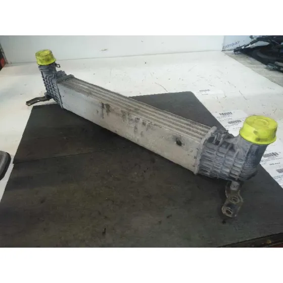 Intercooler para Ford Galaxy (Vx)