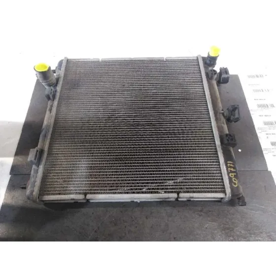 Radiador Agua para Peugeot 207