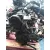 Motor Completo para Volkswagen Passat Berlina (3B3)