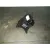 Mando Volante para Renault Grand Scenic