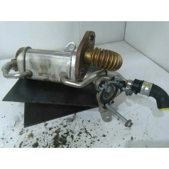 Enfriador Egr para Renault Kangoo