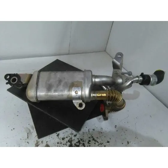 Enfriador Egr para Renault Kangoo
