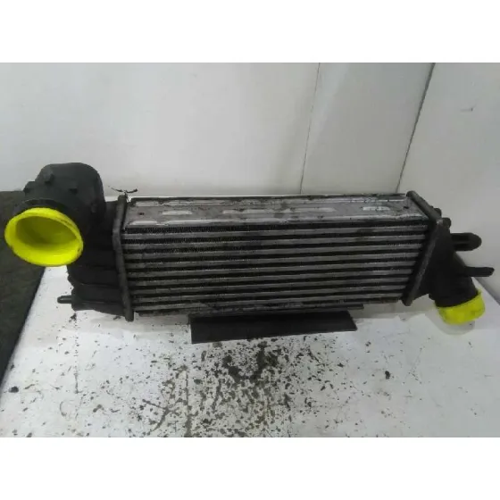Intercooler para Citroën C8