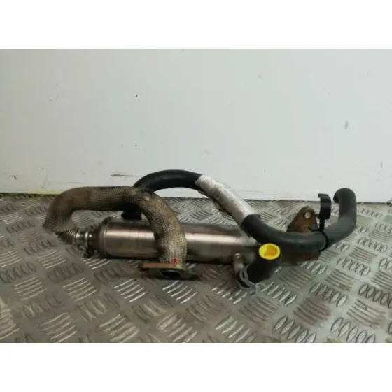 Enfriador Egr para Ford Focus Berlina (Cak)