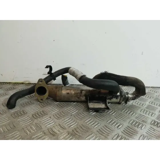 Enfriador Egr para Ford Focus Berlina (Cak)