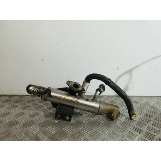 Enfriador Egr para Ford Focus Berlina (Cak)