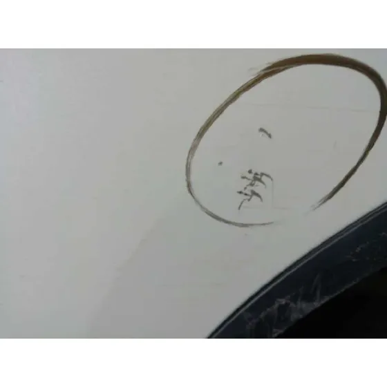 Puerta Trasera Izquierda para Honda Cr-V