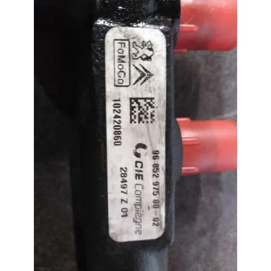 Rampa Inyectora para Ford C-Max