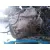 Caja Cambios para Ford Mondeo Ber. (Ca2)