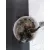 Aforador para Seat Ibiza (6J5)