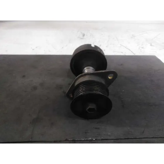 Polea Alternador para Ford Focus Berlina (Cak)