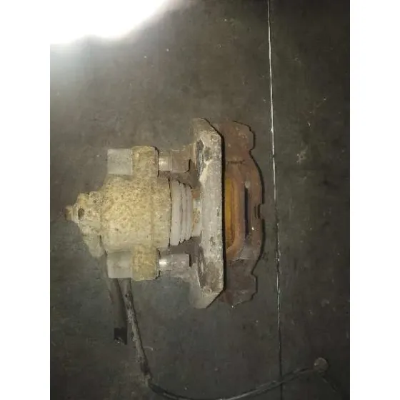 Pinza Freno Trasera Derecha para Bmw X5 (E53)